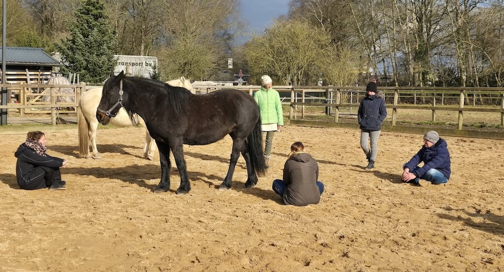 Invoorwaardelijkheid in leiderschap en samenwerking