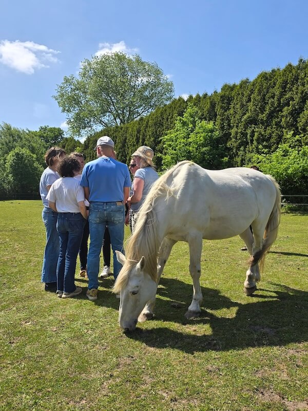 Icoon Training en Coaching systemisch teamcoaching