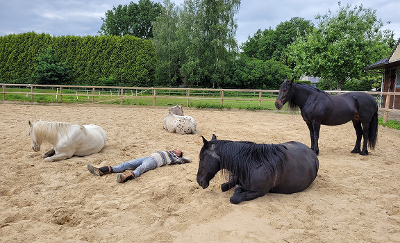 transhumance Icoon Training en Coaching